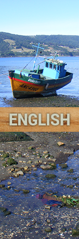 Visit this website in English