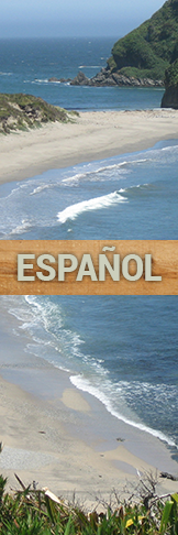 Besuchen Sie diese Website in Spanisch